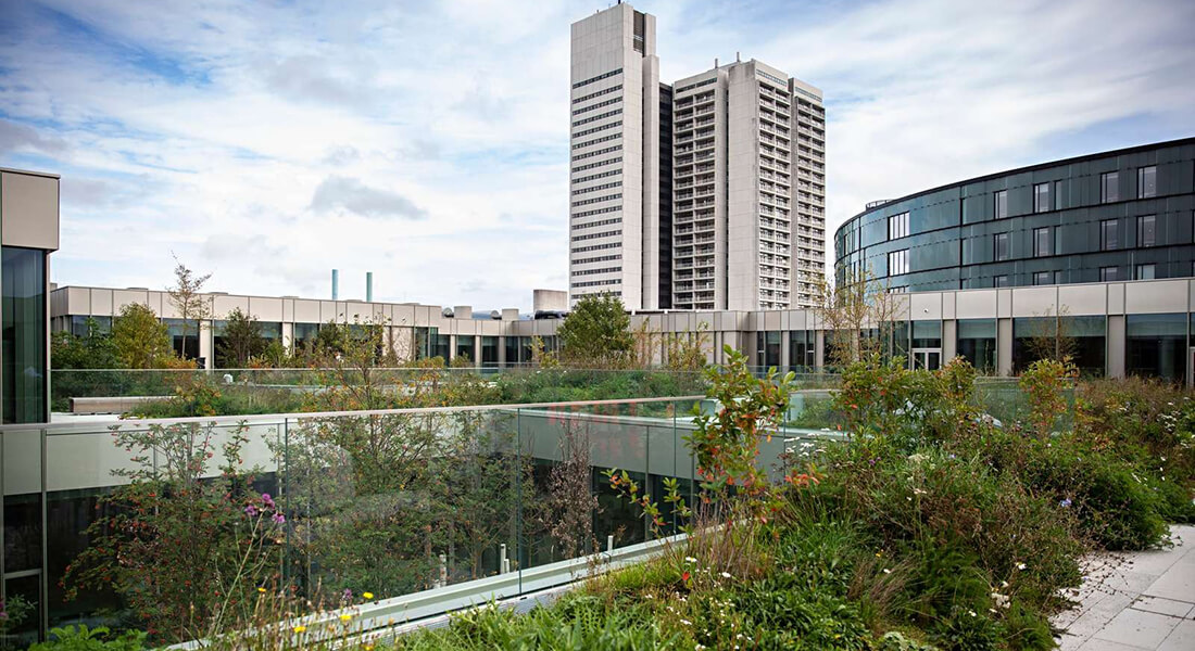 Lizette Kabré / Steno Diabetes Center Copenhagen